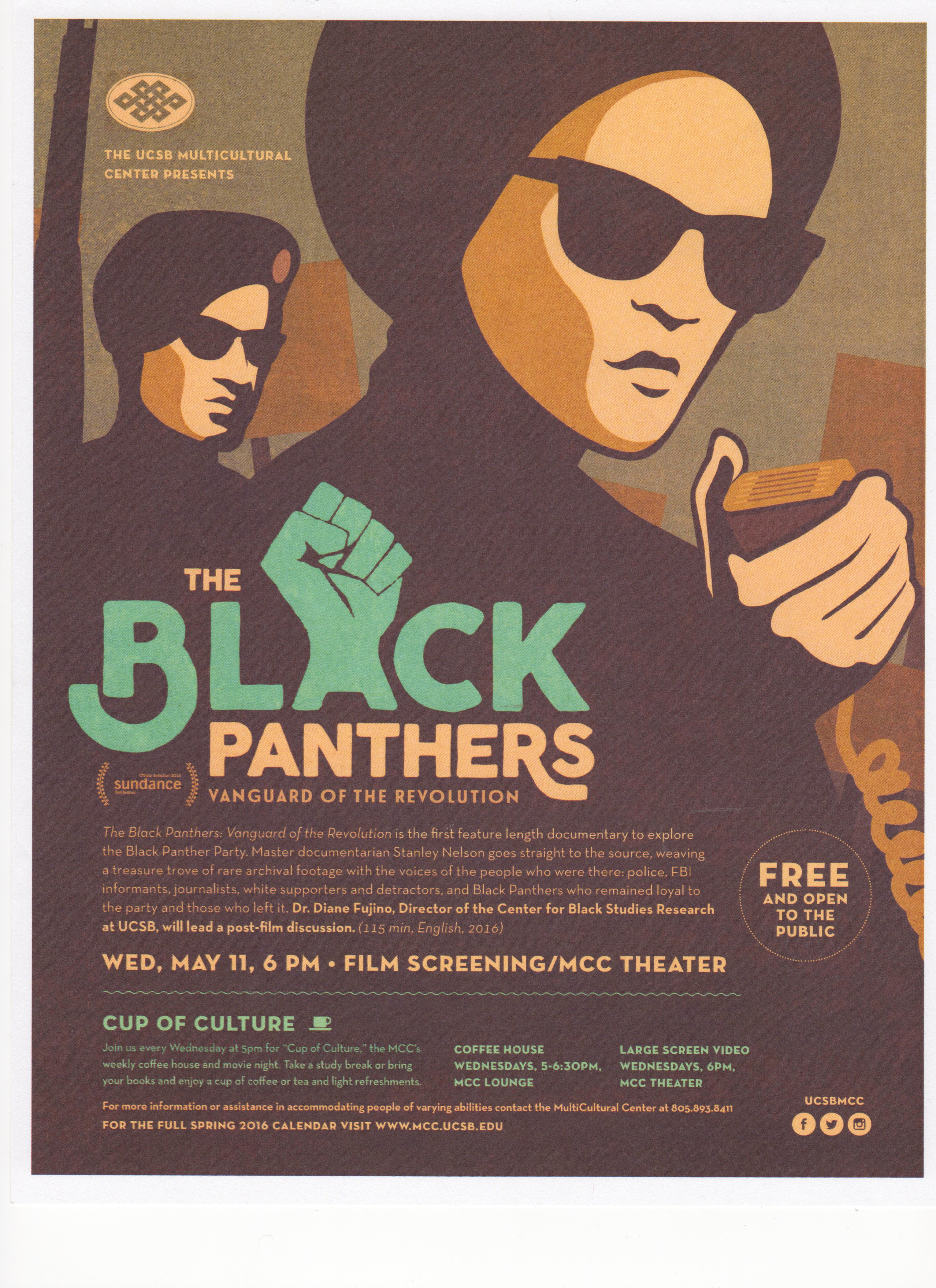 The Black Panthers