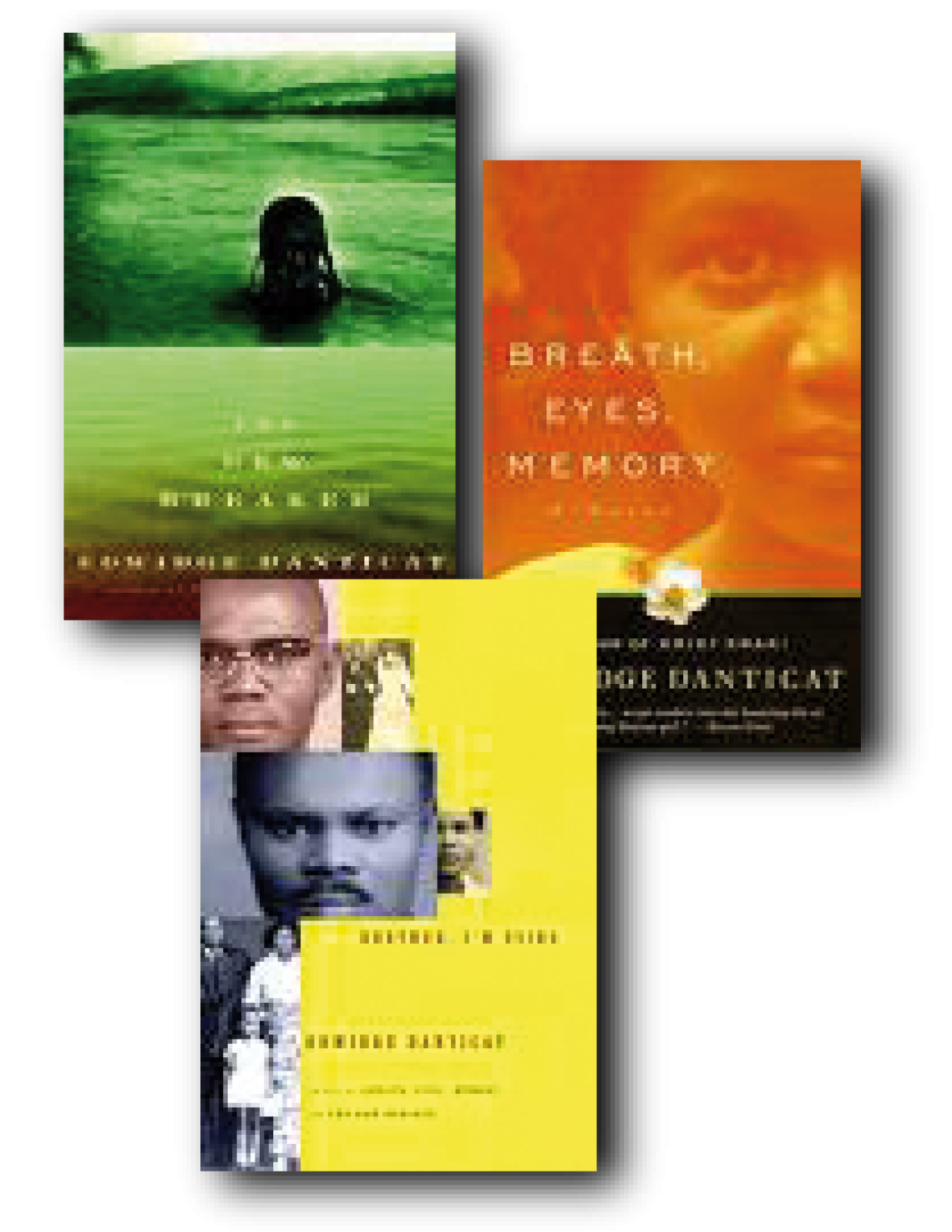 Danticat books covers 