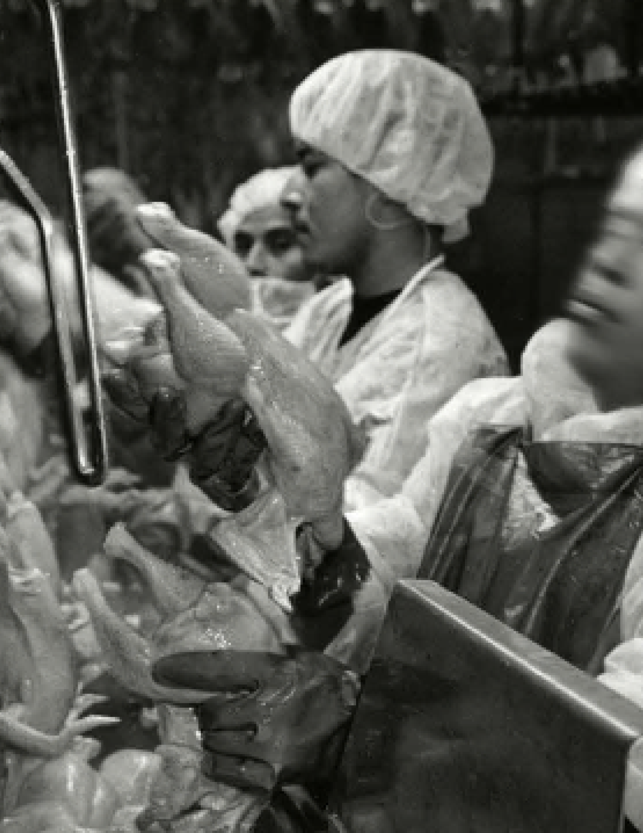 factory workers 