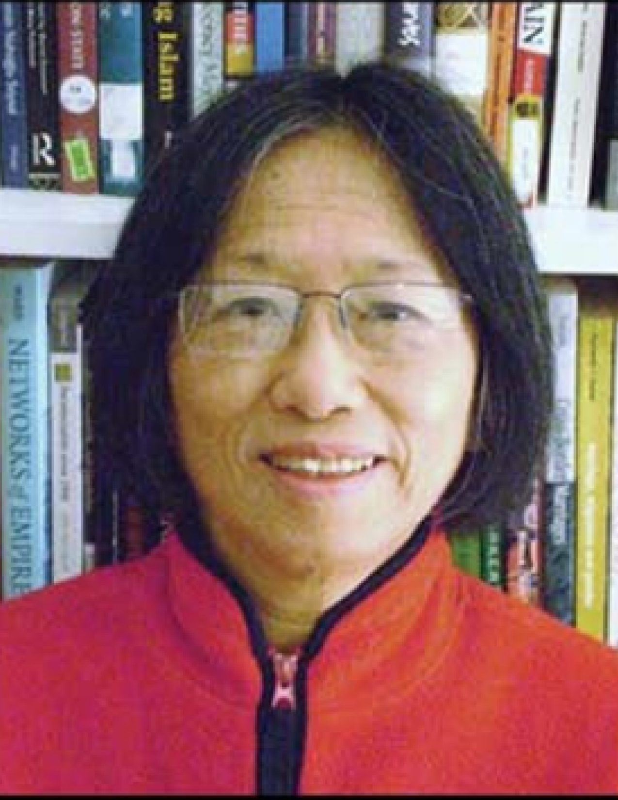 sucheng chen image 