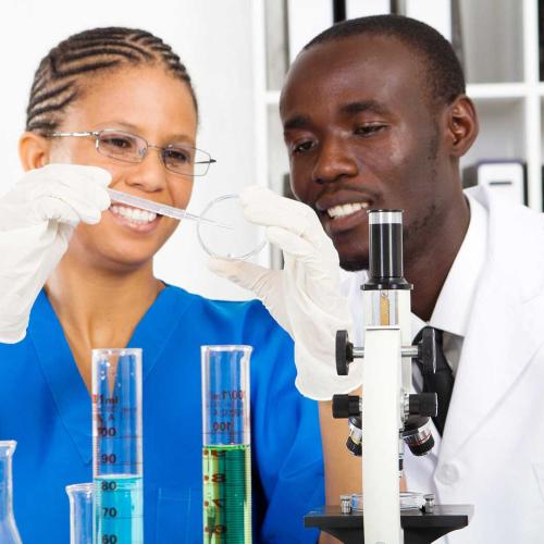 scientists looking at petri dish